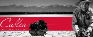 belvini.Bodegas.Callia