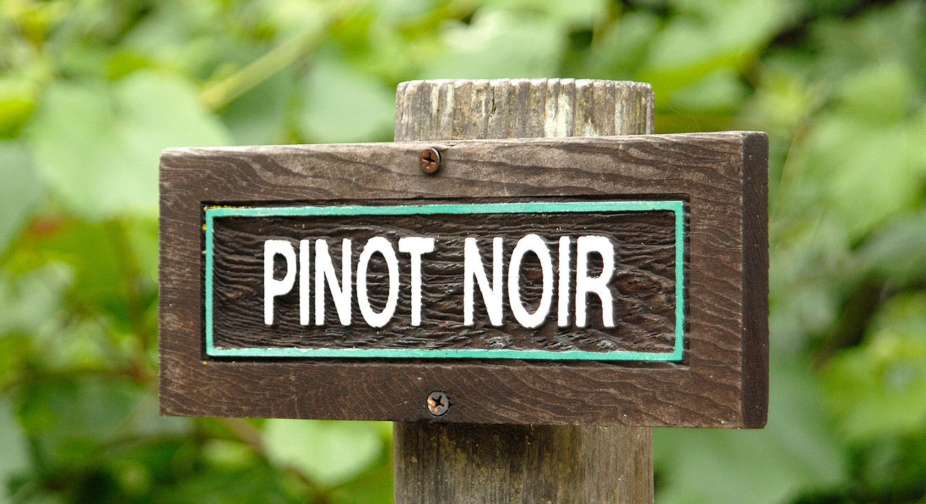 Uva Pinot Noir