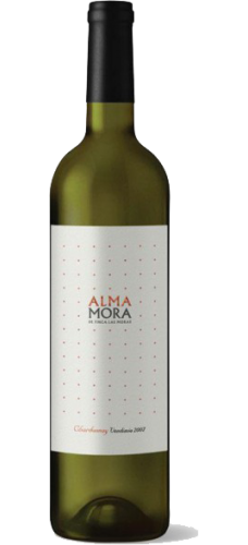 ALMA MORA Chardonnay