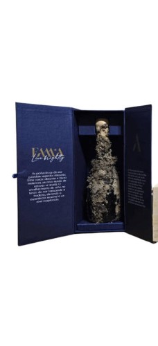 FAMA Fundo do Mar Sur Lie