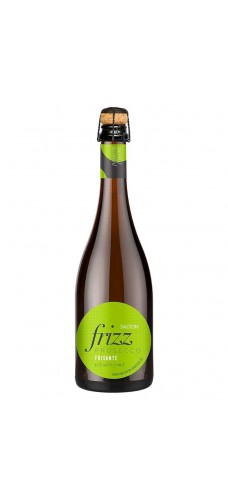 SALTON FRIZZ Prosecco