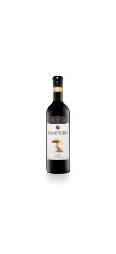 ALTO DOS VENTOS PAMPEIRO Malbec