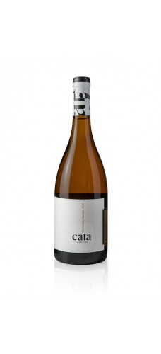 CATA Terroir Chardonnay Barrica 